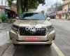 Toyota Land Cruiser Prado 2013 - Cần bán xe Toyota Land Cruiser Prado TX-L năm 2013, màu vàng đồng, xe nhập