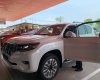 Toyota Land Cruiser Prado 2022 - Bán Toyota Land Cruiser Prado VX 2.7 năm sản xuất 2022, màu trắng