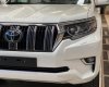 Toyota Land Cruiser Prado 2022 - Bán Toyota Land Cruiser Prado năm 2022, màu trắng, nhập khẩu nguyên chiếc