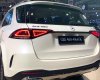 Mercedes-Benz GLE 450 2022 - Dòng xe SUV 7 chỗ nhập khẩu nguyên chiếc từ Mỹ