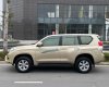 Toyota Land Cruiser Prado 2012 - Xe gia đình giá 1 tỷ 130tr