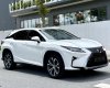 Lexus RX 300 2018 - Sang trọng hiện đại