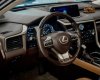 Lexus RX 450 2018 - Màu đen, nhập khẩu nguyên chiếc