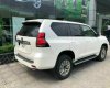 Toyota Land Cruiser Prado 2022 - Xe mới 100%