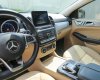 Mercedes-Benz GLE 43 2017 - Màu đen, nhập khẩu
