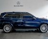 Mercedes-Benz GLS 450 2019 - Xe màu xanh lam