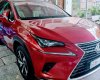 Lexus NX 300 2020 - Model 2020