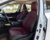 Lexus NX 300 2017 - Màu trắng, xe nhập