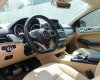 Mercedes-Benz GLE 43 2017 - Màu đen, nhập khẩu