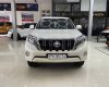 Toyota Land Cruiser Prado 2016 - Xe chính chủ