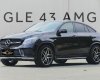 Mercedes-Benz GLE 43 2017 - Màu đen, xe nhập số tự động