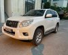 Toyota Land Cruiser Prado 2010 - Màu trắng, xe nhập, giá chỉ 963 triệu