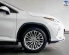 Lexus RX 350 2022 - Màu trắng, nhập khẩu nguyên chiếc