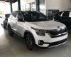 Kia Seltos 2022 - Mẫu xe SUV/Crossover, 5 chỗ ngồi (subcompact crossover SUV) của nhà sản xuất Kia Motors, Hàn Quốc
