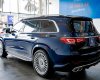Mercedes-Benz GLS 450 2019 - Xe màu xanh lam