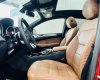 Mercedes-Benz GLE 43 2017 - Màu đỏ, nội thất nâu