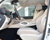 Mercedes-Benz GLS 450 2022 - Màu trắng, nhập khẩu