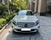 Mercedes-Benz GLA 200 2015 - Xe cực đa dụng trong tầm tiền