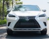 Lexus NX 300 2017 - Màu trắng, nhập khẩu nguyên chiếc đẹp như mới