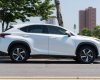 Lexus NX 300 2017 - Màu trắng, xe nhập