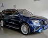Mercedes-Benz GLS 450 2019 - Xe màu xanh lam