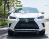 Lexus NX 300 2017 - Xe màu trắng