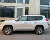 Toyota Land Cruiser Prado 2010 - Màu trắng, xe nhập, giá chỉ 963 triệu