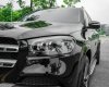 Mercedes-Benz GLS 450 2019 - Xe màu đen