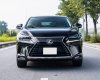 Lexus NX 300 2017 - Bán xe đi ít giá tốt 1 tỷ 980tr