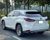 Lexus RX 350 2021 - Màu trắng nội thất nâu