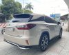 Lexus RX 350 2018 - Động cơ V6 3.5L nhập khẩu Nhật Bản