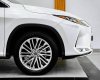 Lexus RX 350 2020 - Xe đẹp, chủ đi giữ gìn
