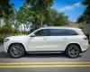 Mercedes-Benz GLS 450 2021 - Odo 1 vạn km, giá tốt