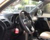 Toyota Land Cruiser Prado 2010 - Xe không va đụng, ngập nước - Biển Hà Nội, nhập Nhật Bản