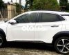 Hyundai Kona 2018 - Không đâm đụng, ngập nước