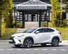 Lexus NX 300 2021 - Chạy cực ít biển tỉnh