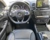 Mercedes-Benz GLE 43 2016 - Đăng ký lần đầu 2017