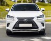 Lexus NX 300 2021 - Chạy cực ít biển tỉnh