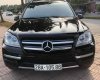 Mercedes-Benz GL 450 2010 - Màu đen, xe nhập, giá cực tốt