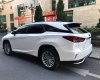 Lexus RX 350 2020 - Xe nhập khẩu chính hãng