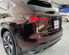 Lexus NX 300 2019 - Tặng ngay 1 miếng vàng thần tài - Miễn phí 100% thuế trước bạ khi mua xe trong tháng