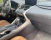 Lexus NX 300 2019 - Màu trắng, nội thất nâu