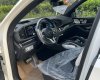 Mercedes-Maybach GLS 480 2022 - Sẵn giao ngay toàn quốc