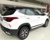 Kia Seltos 2022 - Khởi đầu kỉ nguyên mới