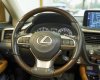 Lexus RX 300 2022 - Xe mới đến 99% cần bán