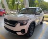 Kia Seltos 2022 - Lăn bánh trả trước chỉ 300tr - Giảm sốc trực tiếp 30tr