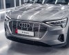 Audi e-tron 0 2022 - Mẫu xe điện đẳng cấp của Đức cạnh tranh với Tesla