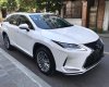 Lexus RX 350 2020 - Xe nhập khẩu chính hãng