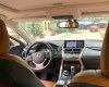 Lexus NX 300 2018 - Bán xe nhập khẩu nguyên chiếc, giá tốt 2 tỷ 239tr