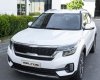 Kia Seltos 2022 - Cùng quà tặng hấp dẫn